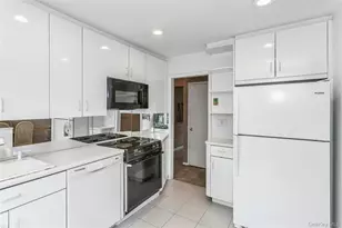 46 Rhodes Dr, New Hyde Park, NY 11040 - Photo 10