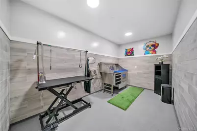 101 Searing Avenue #502, Mineola, NY 11501 - Photo 16