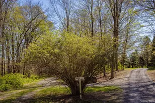 237239 Pumpkin Ln, Clinton Corners, NY 12514 - Photo 26
