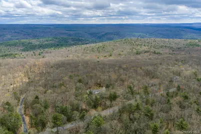 114 Kalin Weber Road, Glen Spey, NY 12737 - Photo 6