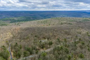 114 Kalin Weber Rd, Glen Spey, NY 12737 - Photo 6