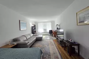 46 Grace Ave, Great Neck, NY 11021 - Photo 10