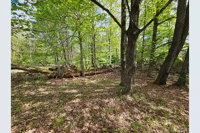 104 Canal Drive, Godeffroy, NY 12729 - Photo 30