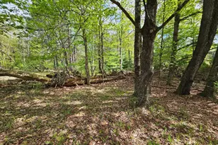 104 Canal Dr, Godeffroy, NY 12729 - Photo 30