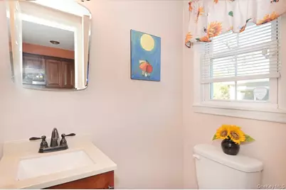 295 New Hyde Park Road, Garden City, NY 11530 - Photo 18