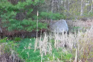 617 Burlingham Rd, Bloomingburg, NY 12721 - Photo 32