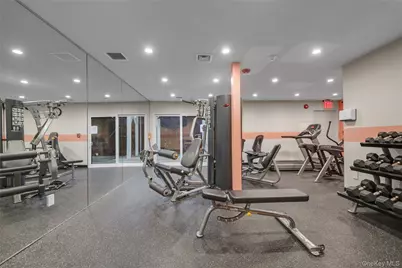 115 Eagles Crescent, Manhasset, NY 11030 - Photo 40