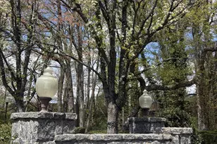25 Chestnut Hill, Roslyn, NY 11576 - Photo 30