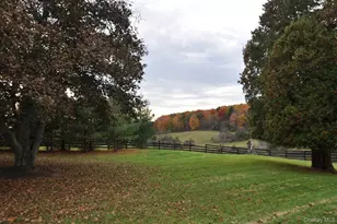3411 Route 199, Pine Plains, NY 12567 - Photo 12