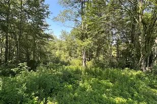 3377 State Route 52, White Sulphur Springs, NY 12787 - Photo 40