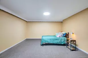 14 Cleaves Ave, Hempstead, NY 11550 - Photo 20
