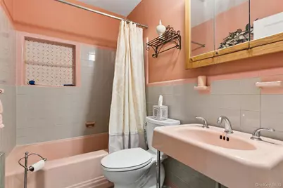 106 Aster Drive, New Hyde Park, NY 11040 - Photo 20