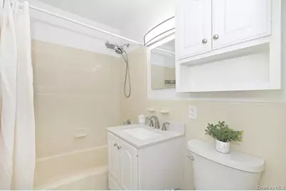 3 Birchwood Court #5O, Mineola, NY 11501 - Photo 10