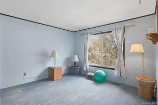 144 Yantz Rd, Red Hook, NY 12571 - Photo 34