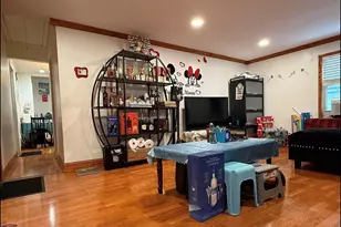 17 Litchfield Ave, Elmont, NY 11003 - Photo 4