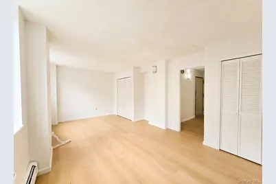 48 Hester Street #5C, New York, NY 10002 - Photo 14