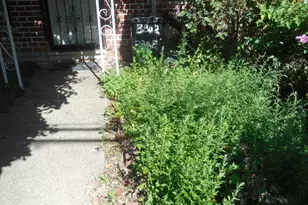 3342 Gunther Ave, Bronx, NY 10469 - Photo 4