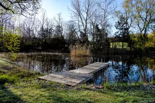 151 Benson Hill Rd, Dover Plains, NY 12522 - Photo 36
