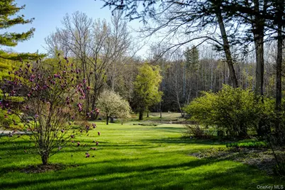151 Benson Hill Road, Dover Plains, NY 12522 - Photo 4