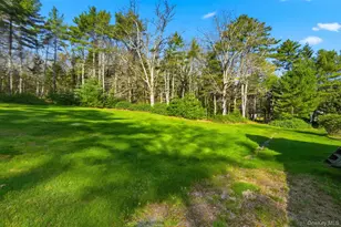 114 Proctor Rd, Eldred, NY 12732 - Photo 36