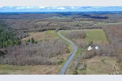 1089 Briscoe Road, Swan Lake, NY 12783 - Photo 4