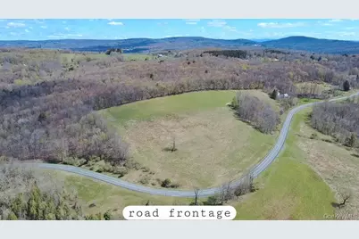 1089 Briscoe Road, Swan Lake, NY 12783 - Photo 2