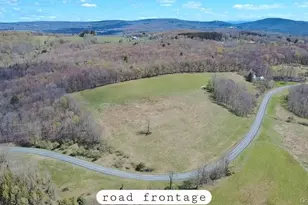 1089 Briscoe Rd, Swan Lake, NY 12783 - Photo 2