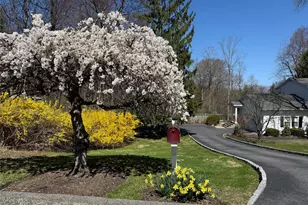 119 Edgewood Rd, Ossining, NY 10562 - Photo 46