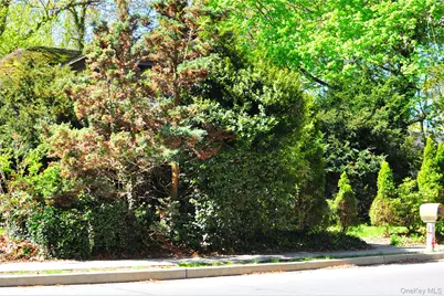 50 Cedar Street, Stony Brook, NY 11790 - Photo 6