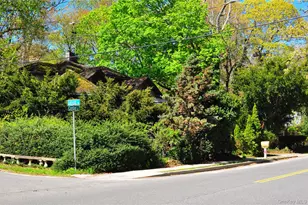 50 Cedar St, Stony Brook, NY 11790 - Photo 4