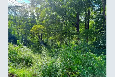 Walnut Street, Pawling, NY 12564 - Photo 8