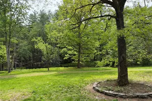 21 Hoffmann St, Hankins, NY 12741 - Photo 40