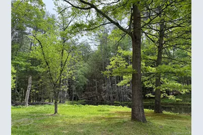 21 Hoffmann Street, Hankins, NY 12741 - Photo 26