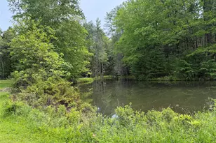 21 Hoffmann St, Hankins, NY 12741 - Photo 6