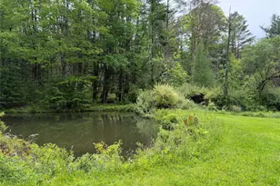 21 Hoffmann St, Hankins, NY 12741 - Photo 4