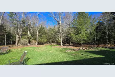 42 Back Shandelee Road, Livingston Manor, NY 12758 - Photo 20