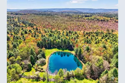 Spook Hole Road, Ellenville, NY 12428 - Photo 2
