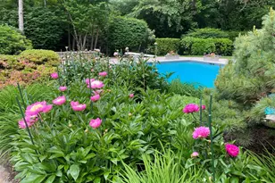 10 Cypress Point Dr, Purchase, NY 10577 - Photo 48