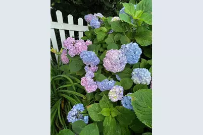 37 Eimer Street, Tappan, NY 10983 - Photo 16