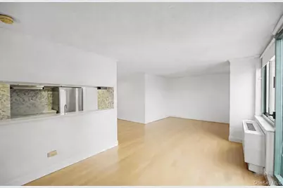 60 Henry Street #15F2, New York, NY 10002 - Photo 8