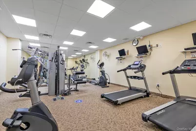 214 Miro Place, Port Washington, NY 11050 - Photo 22