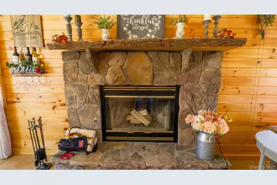 1029 Spring Brook Estates Road, Roscoe, NY 12776 - Photo 10