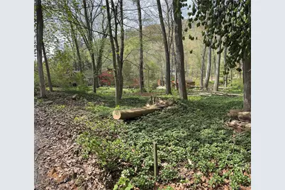 Cove Road, South Salem, NY 10590 - Photo 2