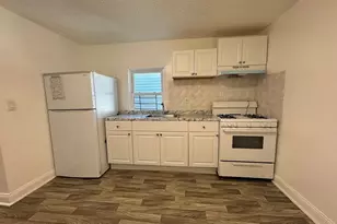 513 Chestnut St, Brooklyn, NY 11208 - Photo 2