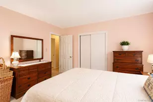 46 Graney Ct, Pearl River, NY 10965 - Photo 20