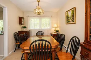 46 Graney Ct, Pearl River, NY 10965 - Photo 12