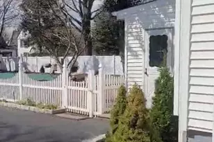 129 Hilton Ave, Hempstead, NY 11550 - Photo 14