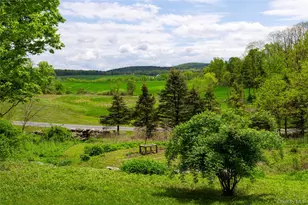 80 County Route 7, Pine Plains, NY 12567 - Photo 4