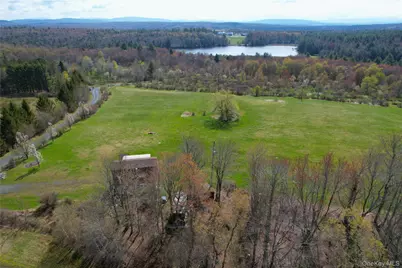 48 Mullen Road, Parksville, NY 12768 - Photo 30