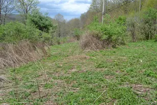 756 County Hwy 21, Walton, NY 13856 - Photo 30